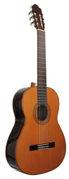 Guitare classique ESTEVE 3Z F/E ZIRICOTE 15443-ZI - La Maison de la Musique