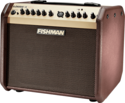 Ampli acoustiques FISHMAN Mini PRO-LBT-500  - La Maison de la Musique