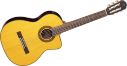 Guitare Classique Takamine srie G5 - La Maison de la Musique