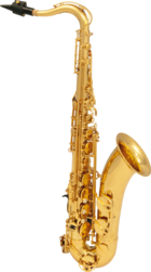 Saxophones SML Paris Ténor - La Maison de la Musique