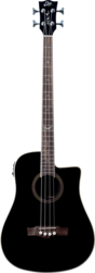 Guitare Basse EKO Acoustique NXT-B100CWE-BLK - La Maison de la Musique