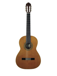 Guitare classique ESTEVE MOD.1 F/E 15441BU - La Maison de la Musique