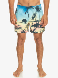 MAILLOT SHORT HOMME QUIKSILVER - SNAPDRAGON - ST JEAN SPORTS
