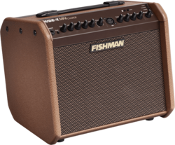 Ampli acoustiques FISHMAN PRO-LBC-500  - La Maison de la Musique