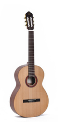 Guitare Sigma classique CM-2 - La Maison de la Musique