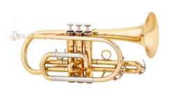 Cornet MTP Basic 300 - La Maison de la Musique