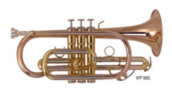 Cornet MTP 300 G - La Maison de la Musique