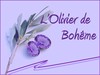 L'OLIVIER DE BOHEME - Alès Cévennes