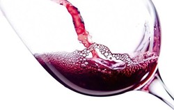 COTES DU RHONE ROUGE - Charpentier Vins