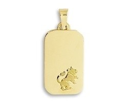 Médaille zodiaque or jaune 9 carats - Bijouterie Horlogerie Lechine