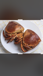 crabe ou tourteaux  - Aux Saveurs charentaises