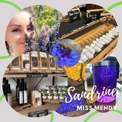 Sandrine - Miss Mendy - Ct Halle La Boutique des Artisans Crateurs du Comminges