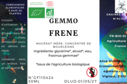 Gemmoth�rapie Frene - Graines de m'Alice