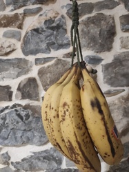 Attache banane   - Les Fabrications de M�lissa