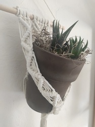 Suspension Plante   - Les Fabrications de M�lissa