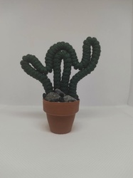 Cactus - Les Fabrications de M�lissa