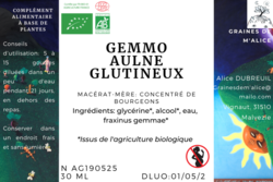 Gemmoth�rapie Aulne glutineux - Graines de m'Alice