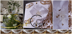 Invitation - Sign Colombe