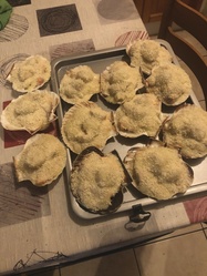 coquille de poisson  - Aux Saveurs charentaises