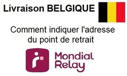 BELGIQUE : Comment mettre l'adresse du point MONDIAL RELAY - Crations de Stfy'N