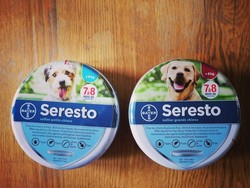Seresto - Dog's beauty 