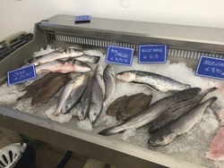 poisson divers de saison arrivage trois fois par semaine  - Aux Saveurs charentaises