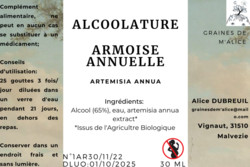 Alcoolature Artemisia Annua - Graines de m'Alice