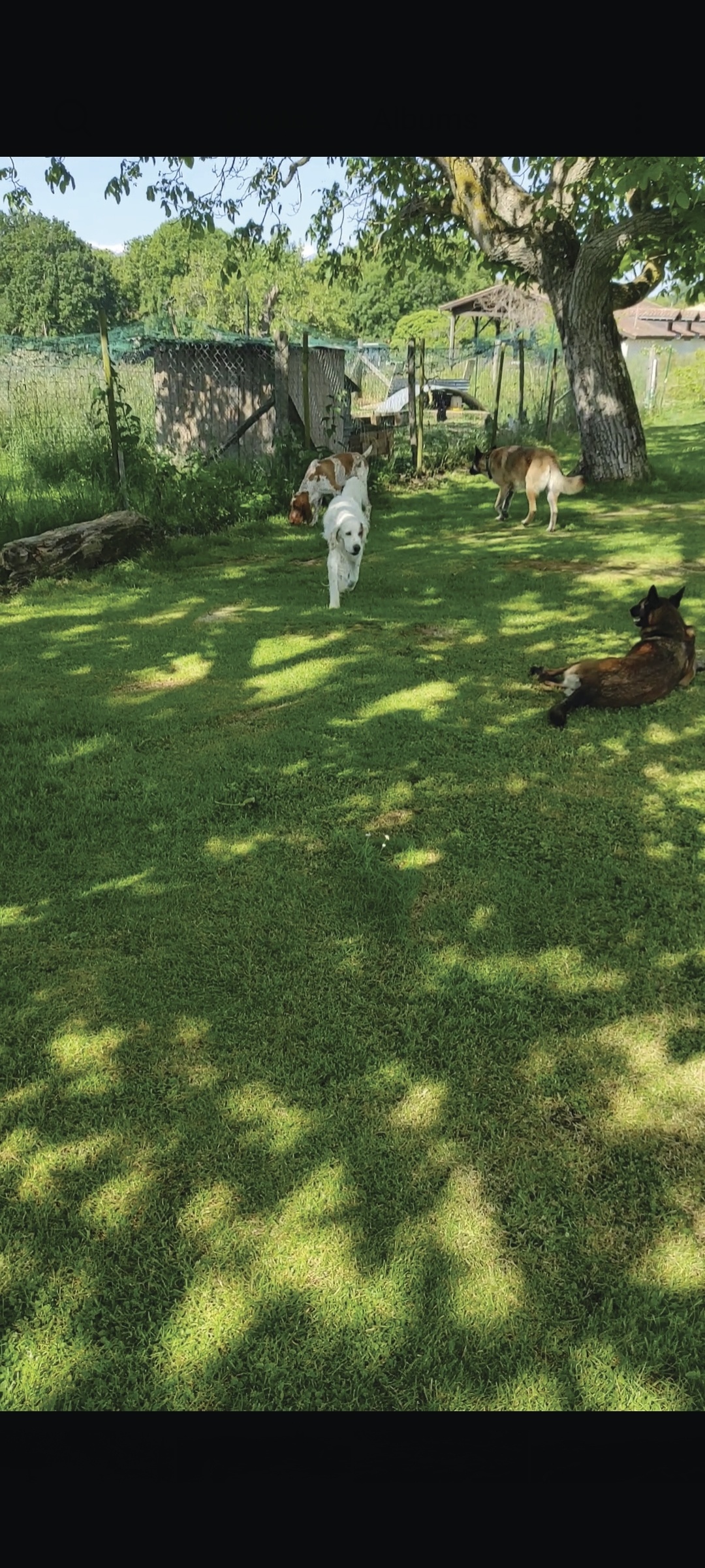 Boutique Sianadog31 - J'achte en Comminges