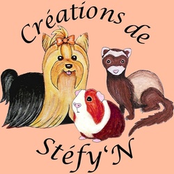 L'histoire des Crations de Stfy'N