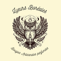 Lueurs Borales - J'achte en Comminges