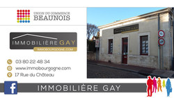 IMMOBILIERE GAY  - BEAUNE en action