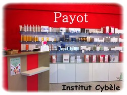 Institut Cyb�le - LES NOUVEAUX COMMERCES