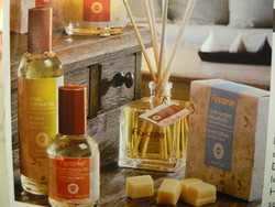 bio sweet home - MISS TERRE VERTE