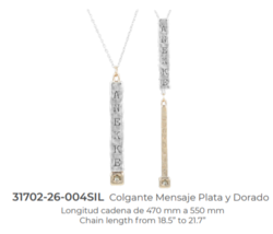 31702-26-004SIL COLLIER MESSAGEANEKKE EPUISE - Maroquinerie Diot Sellier