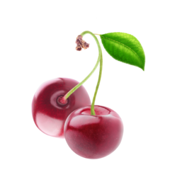 Nectar de Griotte 25 cl - Ferme Fruirouge