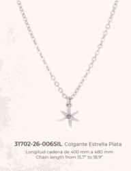 31702-26-006SIL COLLIER CHARMS ANEKKE EPUISE - Maroquinerie Diot Sellier
