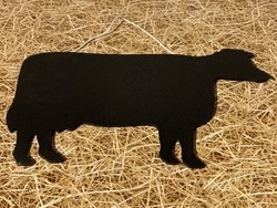 Tableau noir animal vache - FRUIROUGE & CIE - L'EPICERIE FERMIERE