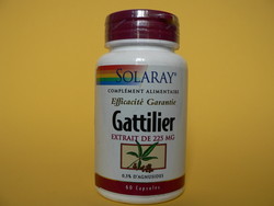 GATTILIER SOLARAY - MISS TERRE VERTE