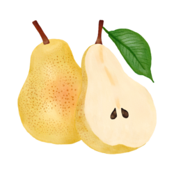 Nectar de Poire Williams 25 cl - Ferme Fruirouge