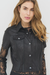 VESTE MANCHES COURTES CHIC NU DENMARK - ANN'MODE 