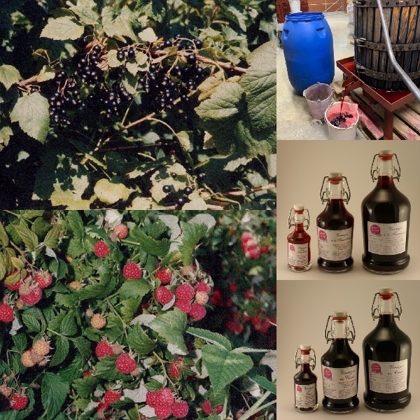 Vinaigre-Fruits-Bio-ferme-Fruirouge - Voir en grand