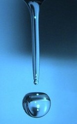 ARGENT COLLOIDAL BIO - MISS TERRE VERTE