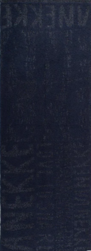 37700-123 ECHARPE LOGOMANIA NAVY ANEKKE SHOEN EPUISE - Maroquinerie Diot Sellier