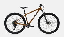VTT 29" T.43 POLYGON CASCADE 5 MARRON/NOIR DISPONIBLE - RANDO FITNESS VENAREY CYCLES