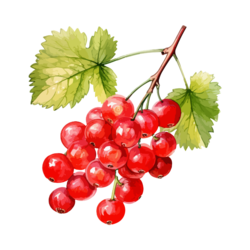 Nectar de Groseille 25 cl - Ferme Fruirouge