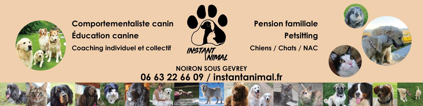 Boutique INSTANT ANIMAL - Côte-d'Or