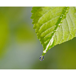 sauvegarde du cycle de l'eau