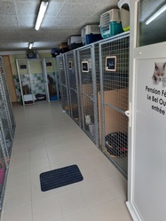 Photo de la pension intrieur - Pension Fline Le Bel Ousia