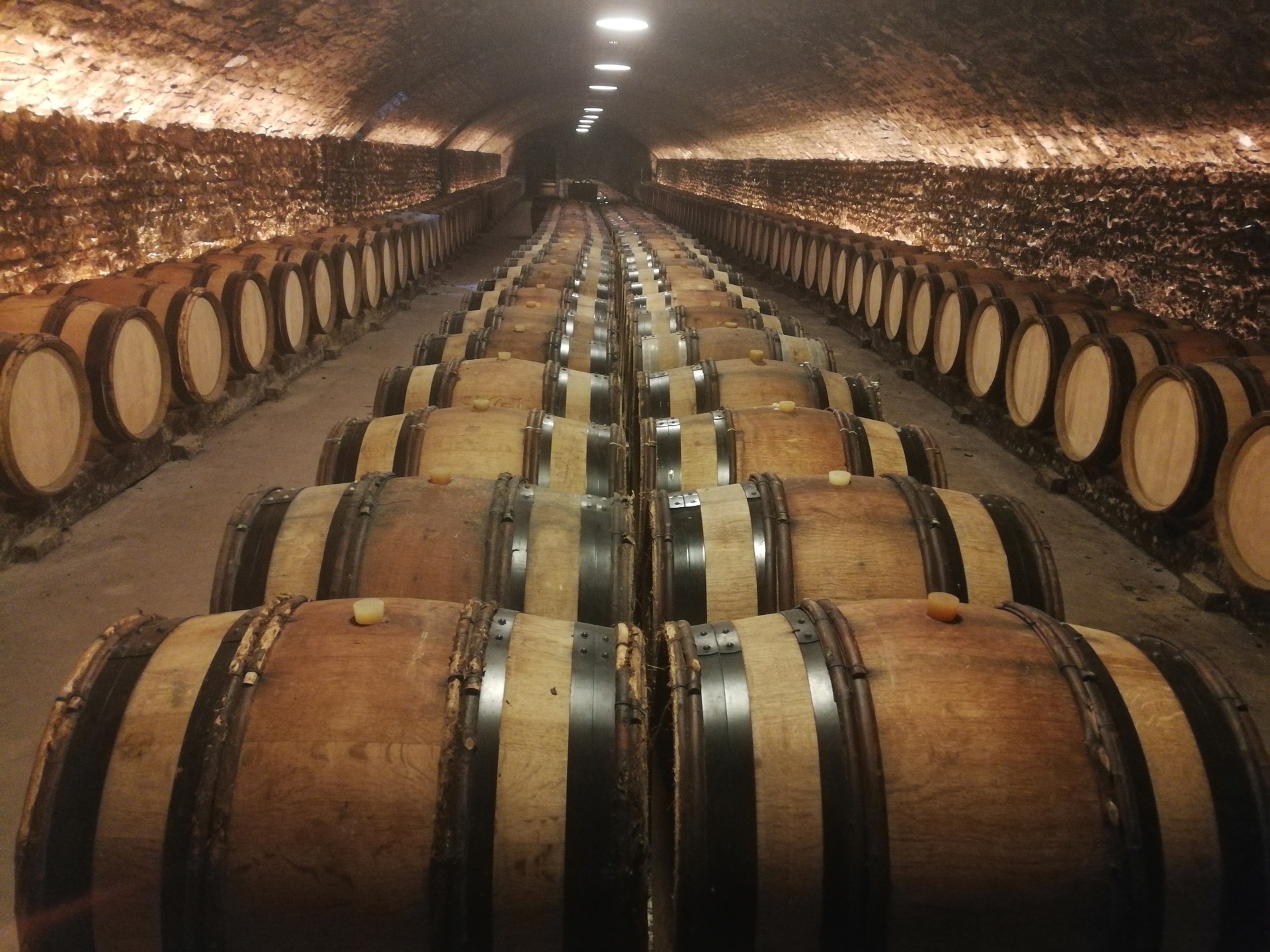 Boutique CAVEAU DUFOULEUR PERE & FILS - Cte-d'Or