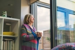 Baies vitr�es impeccables